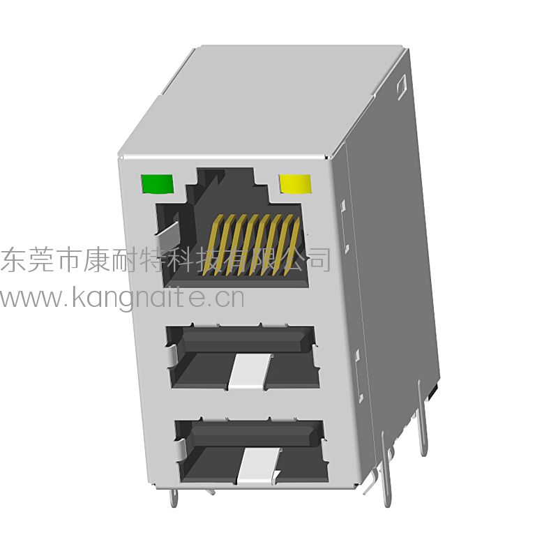 RJ45+雙USB2.0 100BASE