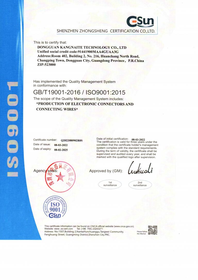 ISO9001英文(wén)版